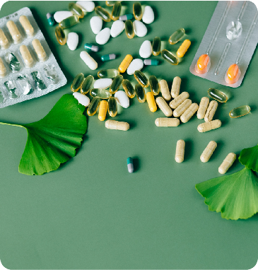 Botanical Medicine and Holistic Health