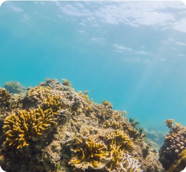 Marine and Environmental Science